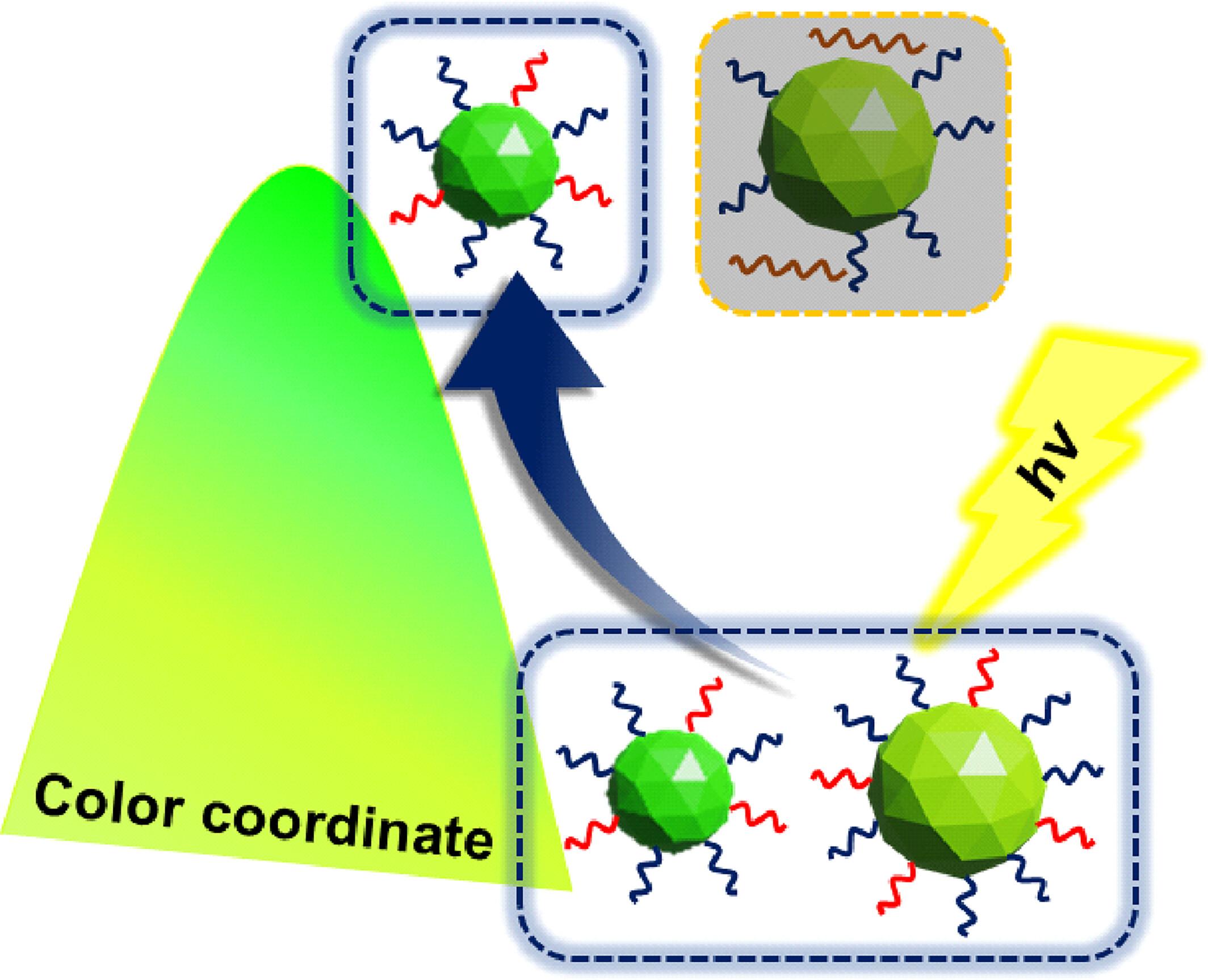 Narrowing the photoluminescence bandwidth of InP-based colloidal quantum dots through photon-triggered isolation