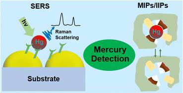 Advancements in mercury detection using surface-enhanced Raman spectroscopy (SERS) and ion-imprinted polymers (IIPs): a review