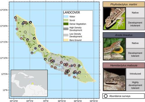 Dispersal restriction and facilitation in species with differing tolerance to development: A landscape genetics study of native and introduced lizards