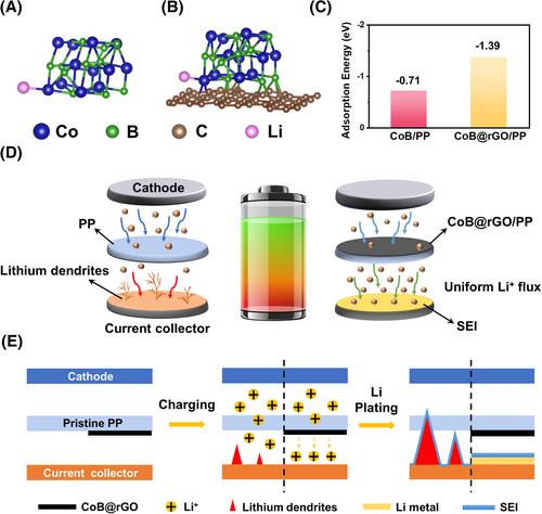 Amorphous lithiophilic cobalt-boride@rGO interlayer for dendrite-free and highly stable lithium metal batteries