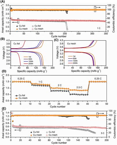 Self-smoothing lithium metal anode based on screen-printed Cu-mesh current collector for long-term safety of lithium metal batteries