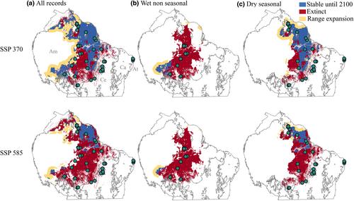 Deforestation limits evolutionary rescue under climate change in Amazonian lizards