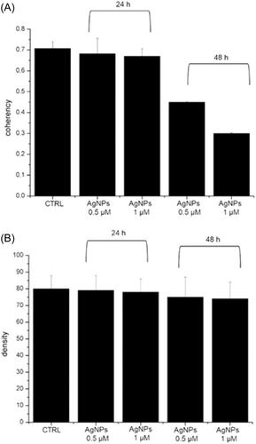 Green silver nanoparticles: Prospective nanotools against neurodegenerative cell line model