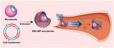 Macrophage-red blood cell hybrid membrane-coated ultrasound-responsive microbowls to eliminate pathogens, endotoxins, and heavy metal ions from blood†