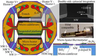 TEM-compatible microdevice for the complete thermoelectric characterization of epitaxially integrated Si-based nanowires†
