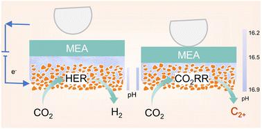 Optimized contact in membrane electrode assembly for multicarbon product generation†