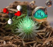 Design of Bi-functional mixed oxide electrodes for selective oxidative C–C cleavage of glycerol to formate and synchronized green hydrogen production†