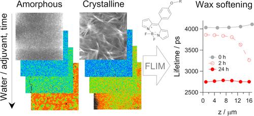 Fluorescent Molecular Rotors Quantify an Adjuvant-Induced Softening of Plant Wax