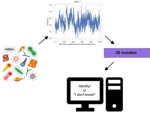 Enhancing Open-World Bacterial Raman Spectra Identification by Feature Regularization for Improved Resilience against Unknown Classes