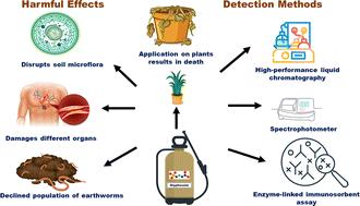 Glyphosate: a review on its widespread prevalence and occurrence across various systems