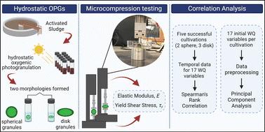 Water quality indicators influencing the formation and morphology of hydrostatically-formed photogranules†