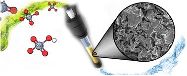 Optimization of batch and packed-bed column Cr(vi) adsorption of an amine-rich chitosan/polyethyleneimine composite: application in electroplating wastewater treatment†