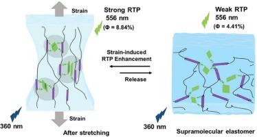 Reversible phosphorescence in pseudopolyrotaxane elastomer