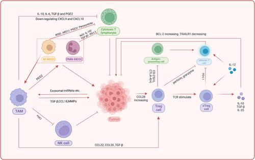 Converting “cold” to “hot”: epigenetics strategies to improve immune therapy effect by regulating tumor-associated immune suppressive cells