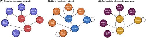 Advances in computational and experimental approaches for deciphering transcriptional regulatory networks