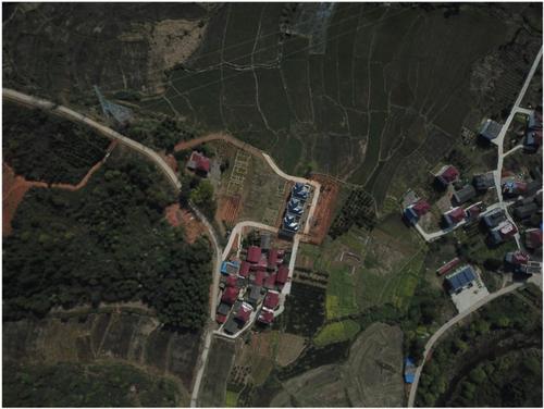 Pollinator diversity, pollination services, and conservation in agroecosystems: A mini-review on the successes and challenges in China