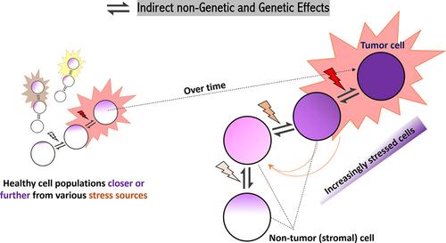 From genetic mosaicism to tumorigenesis through indirect genetic effects