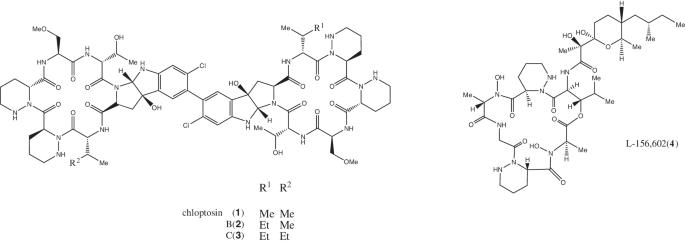 Correction: New chloptosins B and C from an Embleya strain exhibit synergistic activity against methicillin-resistant Staphylococcus aureus when combined with co-producing compound L-156,602