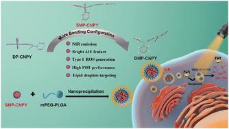 Regulating donor configuration to develop AIE-active type I photosensitizers for lipid droplet imaging and high-performance photodynamic therapy under hypoxia†