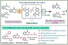Synthesis of quinazolinone scaffolds via a zinc(ii)-stabilized amidyl radical-promoted deaminative approach†