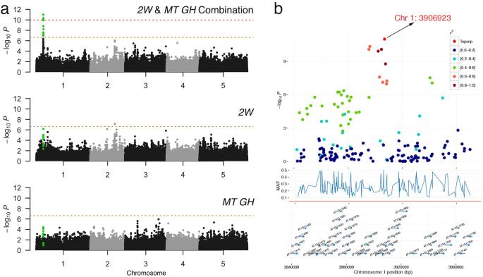 Dual-trait genomic analysis in highly stratified Arabidopsis thaliana populations using genome-wide association summary statistics