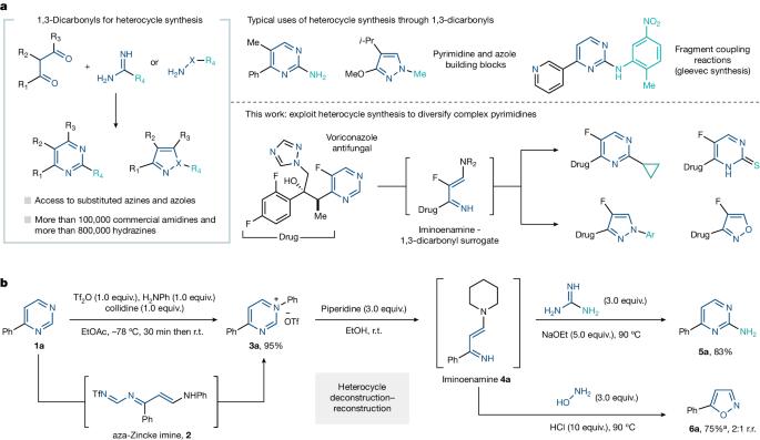 A deconstruction–reconstruction strategy for pyrimidine diversification