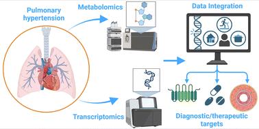 Understanding pulmonary hypertension: the need for an integrative metabolomics and transcriptomics approach