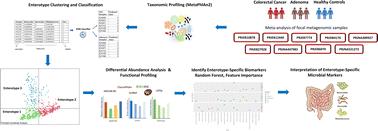 Species-level identification of enterotype-specific microbial markers for colorectal cancer and adenoma†