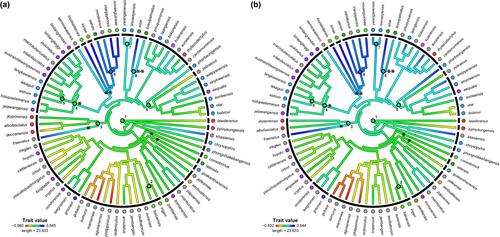 Ecologically-related variation of digit morphology in Cyrtodactylus (Gekkota, Squamata) reveals repeated origins of incipient adhesive toepads