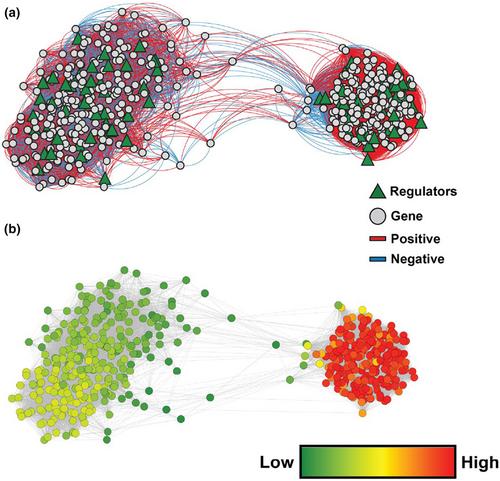 An association weight matrix identified biological pathways associated with bull fertility traits in a multi-breed population