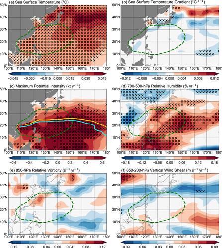 Recent shortening of the mature tropical cyclone stage over the western North Pacific