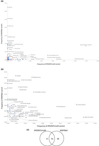 Frequency of RPGRIP1 and MAP9 genetic modifiers of canine progressive retinal atrophy, in 132 breeds of dog