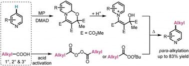 para-Selective radical alkylation of pyridines with diacyl peroxides and peresters†