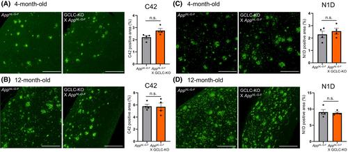 Neuronal glutathione depletion elevates the Aβ42/Aβ40 ratio and tau aggregation in Alzheimer's disease mice