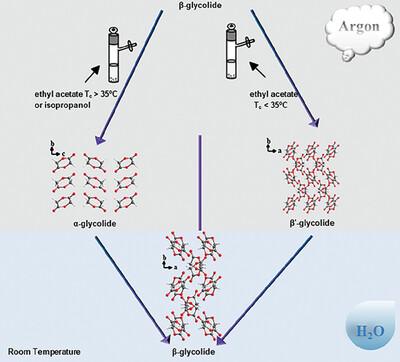 Crystalline Transformation of Glycolide Induced by Organic Solvents and Relative Humidity