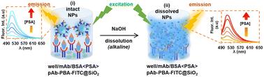 Antibody fluorescein-doped silica nanobioconjugates for the ultrasensitive detection of prostate-specific antigen†