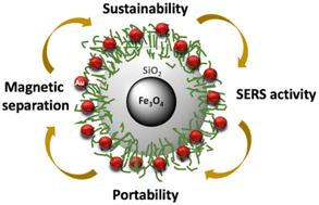 Magneto-plasmonic bionanocomposites for on-site SERS detection of water contaminants†