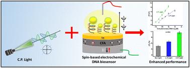 Enhanced spin-polarization and detection limit in a spin-based optoelectrochemical DNA hybridization sensor induced by circularly polarized light†