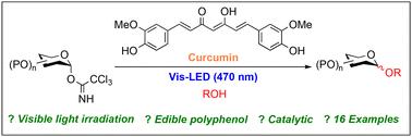 Photo-induced glycosylation using the edible polyphenol curcumin†