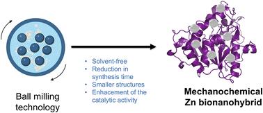 Mechanochemical synthesis of Zn-bionanohybrids: size effect at the nanoscale to improve their enzyme-like activity†