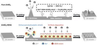 Enhanced electrostatic shielding effect through incorporation of trace amounts of highly chelating anions for establishing a more stable electric double layer†