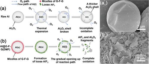 High-Performance Aluminum Fuels Induced by Monolayer Self-Assembly of Nano-Sized Energetic Fluoride Vesicles on the Surface