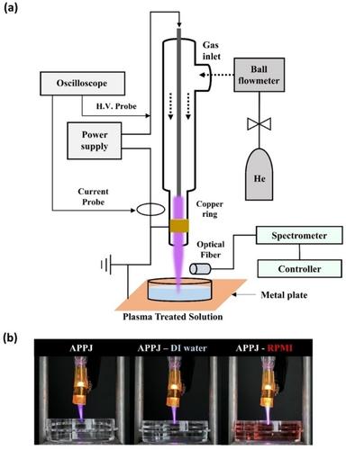 Characteristics of Aqueous Chemical Species Generation in Plasma-Facing Liquid Systems Using Helium Jet Plasma