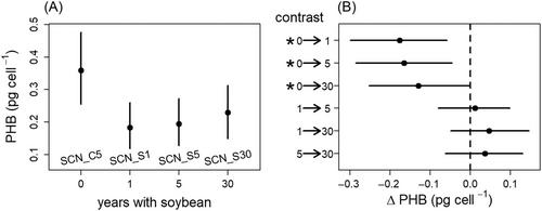 Prolonged soybean absence in the field selects for rhizobia that accumulate more polyhydroxybutyrate during symbiosis