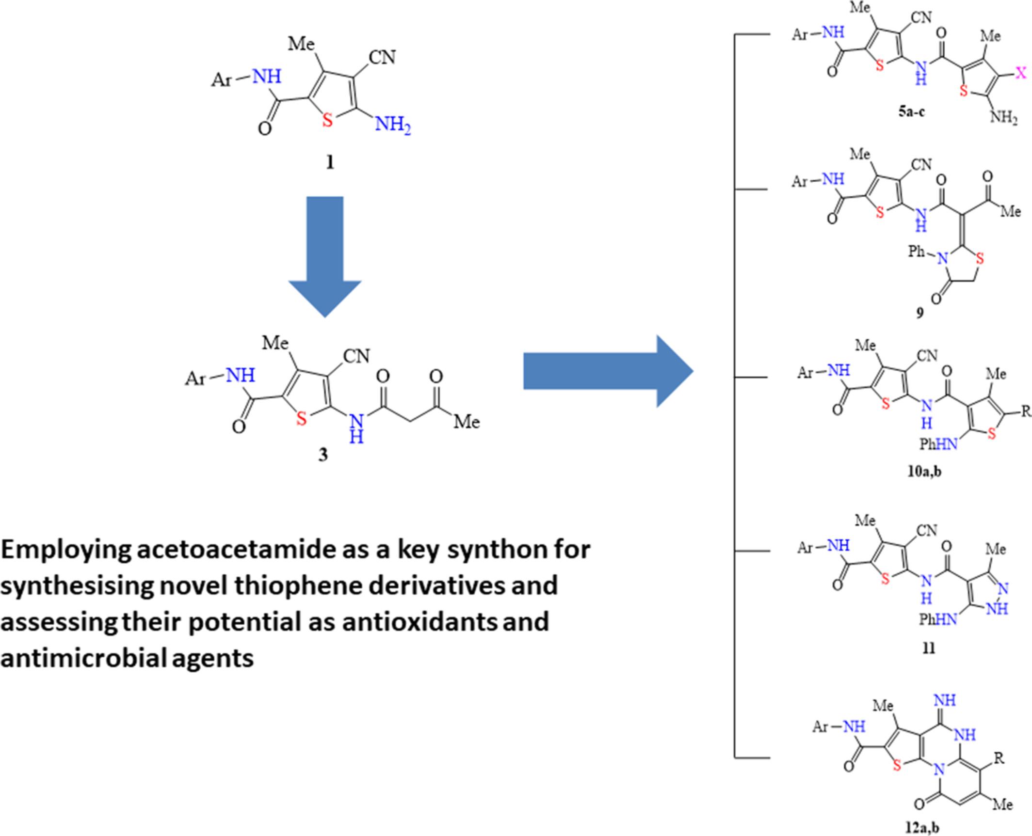 Employing acetoacetamide as a key synthon for synthesizing novel thiophene derivatives and assessing their potential as antioxidants and antimicrobial agents