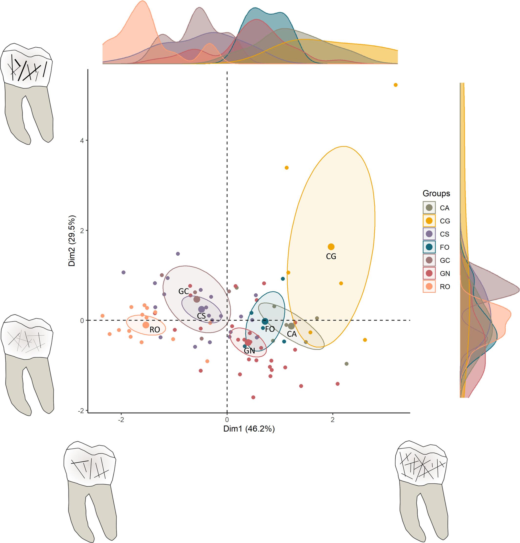 Eating through time: Understanding dietary practices across late prehistory in the northeastern Iberian Peninsula