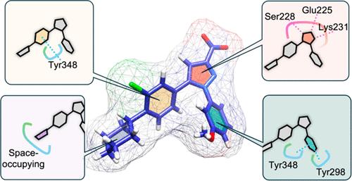 Design Principle of Heparanase Inhibitors: A Combined In Vitro and In Silico Study