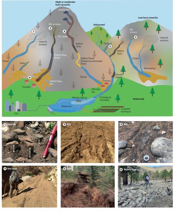 Fire effects on geomorphic processes