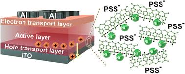 Nickel polyelectrolytes as hole transporting materials for organic and perovskite solar cell applications†