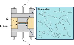 Intrinsic effects of electrolytes on lithium metal deposition and dissolution investigated through a separator-free cell†